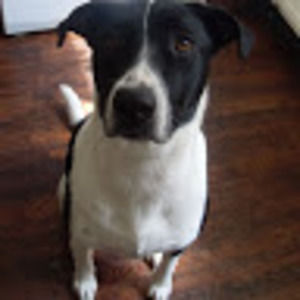 Meet your Posher, Corinne